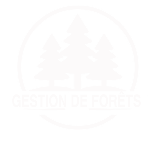 Gestion de Forêt
